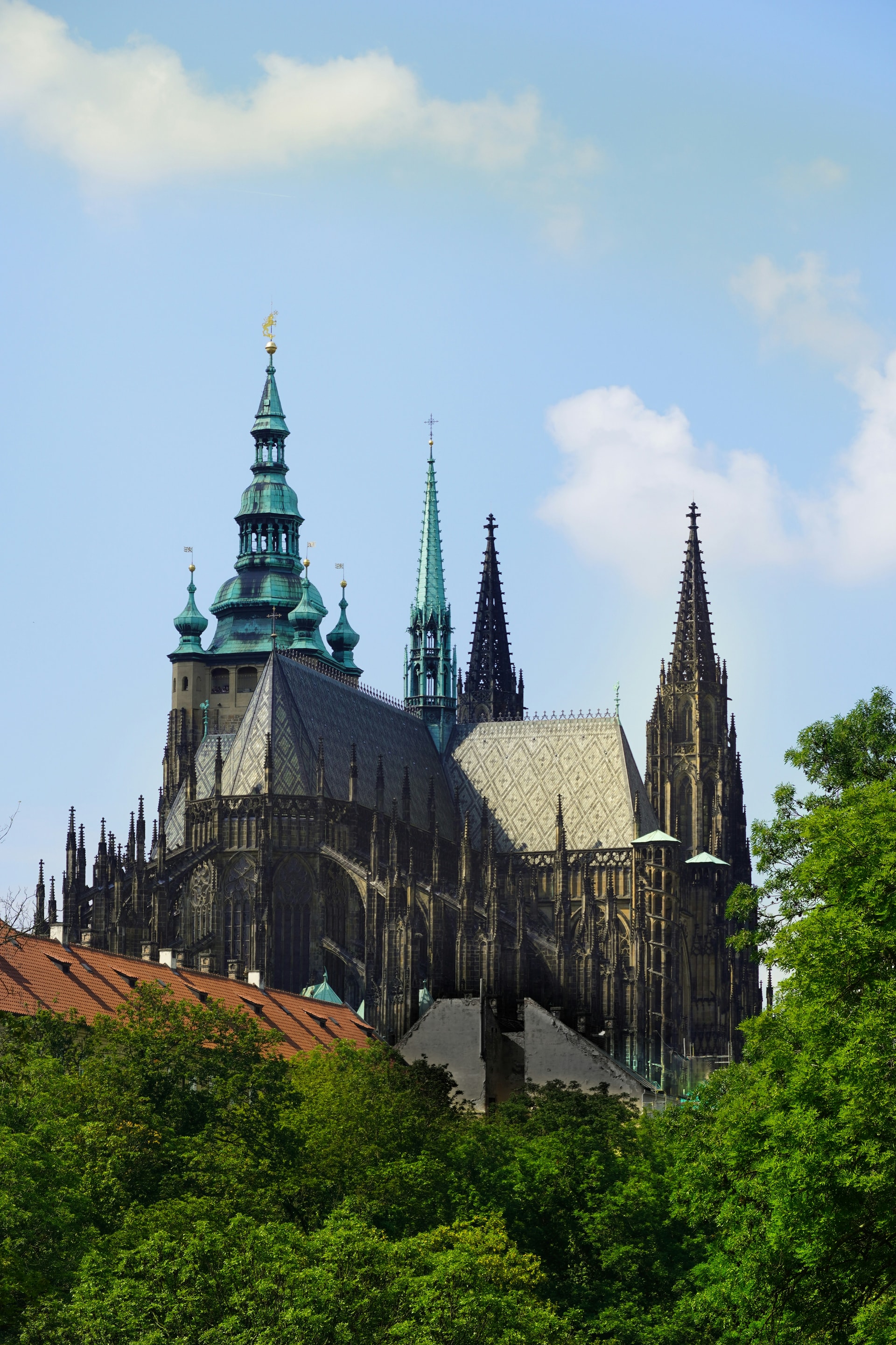 Student photo Student photo